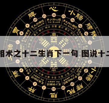 中国相术之十二生肖下一句 图说十二生肖