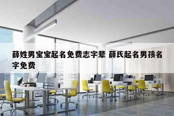 薛姓男宝宝起名免费志字辈 薛氏起名男孩名字免费