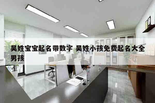 吴姓宝宝起名带数字 吴姓小孩免费起名大全男孩
