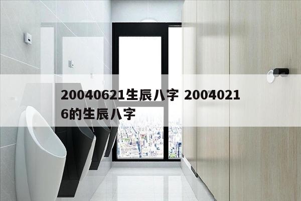 20040621生辰八字 20040216的生辰八字