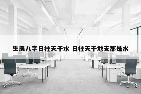 生辰八字日柱天干水 日柱天干地支都是水