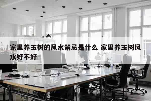 家里养玉树的风水禁忌是什么 家里养玉树风水好不好