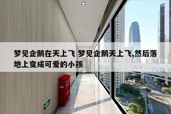 梦见企鹅在天上飞 梦见企鹅天上飞,然后落地上变成可爱的小孩
