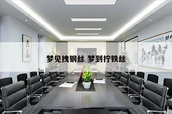 梦见拽钢丝 梦到拧铁丝