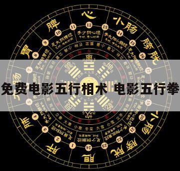 免费电影五行相术 电影五行拳