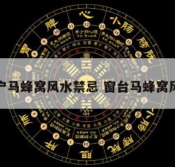 窗户马蜂窝风水禁忌 窗台马蜂窝风水
