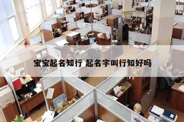 宝宝起名知行 起名字叫行知好吗