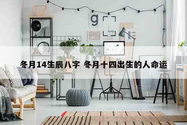 冬月14生辰八字 冬月十四出生的人命运