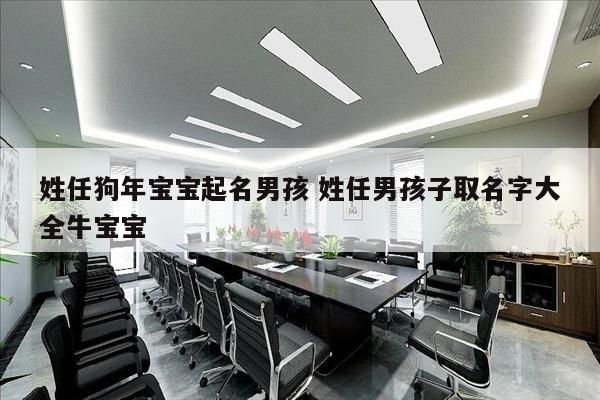 姓任狗年宝宝起名男孩 姓任男孩子取名字大全牛宝宝