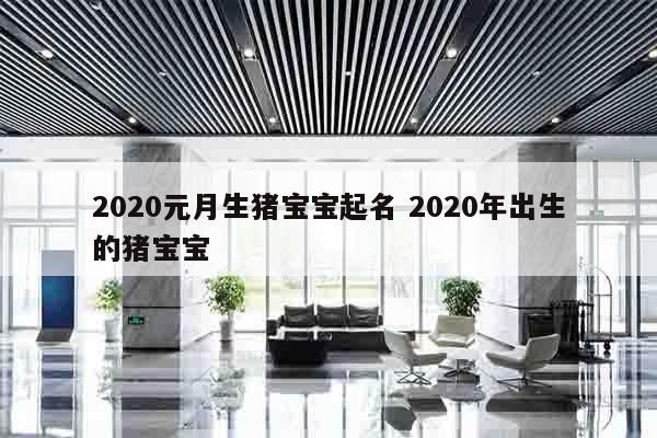 2020元月生猪宝宝起名 2020年出生的猪宝宝