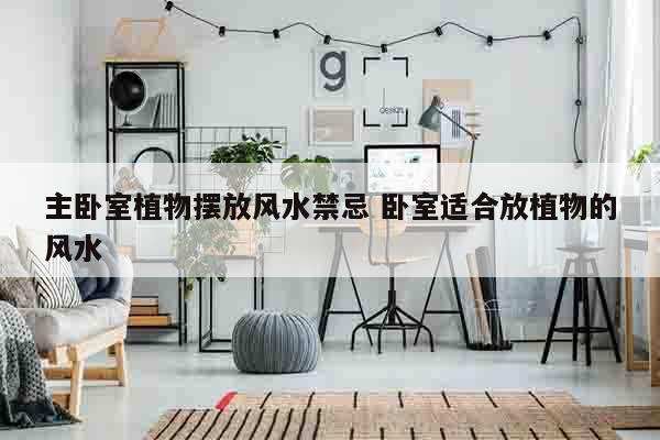 主卧室植物摆放风水禁忌 卧室适合放植物的风水