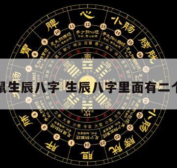 双鼠生辰八字 生辰八字里面有二个鼠
