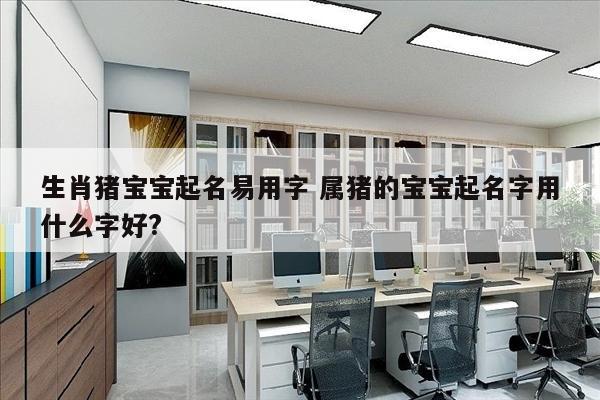 生肖猪宝宝起名易用字 属猪的宝宝起名字用什么字好?