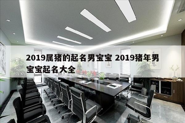 2019属猪的起名男宝宝 2019猪年男宝宝起名大全