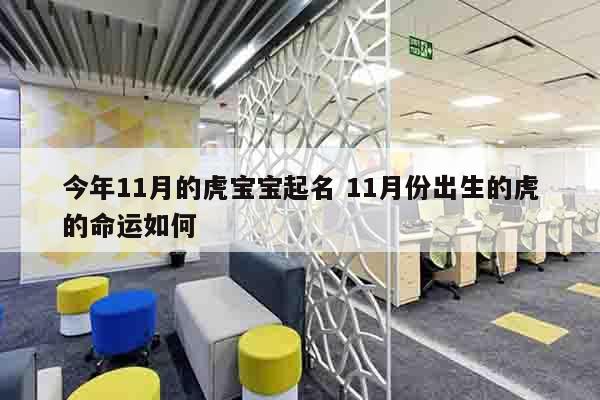 今年11月的虎宝宝起名 11月份出生的虎的命运如何