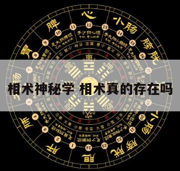 相术神秘学 相术真的存在吗