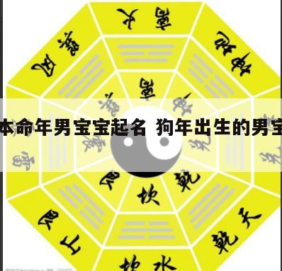 狗年本命年男宝宝起名 狗年出生的男宝宝名字