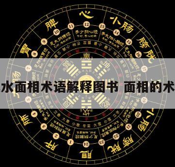 风水面相术语解释图书 面相的术语