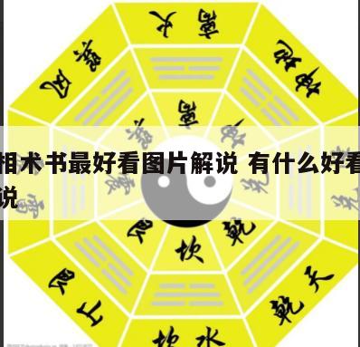 哪本相术书最好看图片解说 有什么好看的相术小说