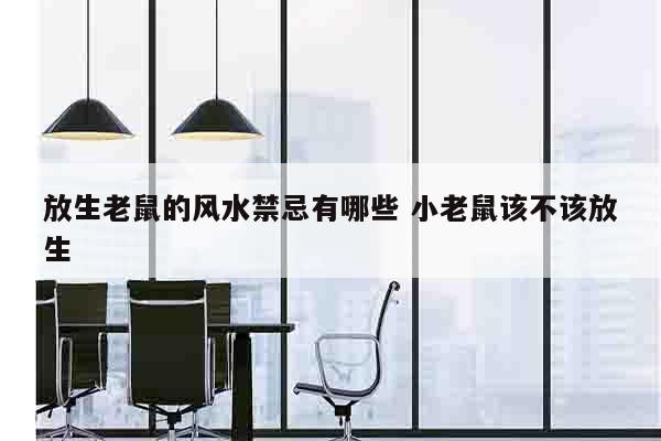 放生老鼠的风水禁忌有哪些 小老鼠该不该放生