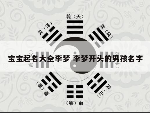 宝宝起名大全李梦 李梦开头的男孩名字