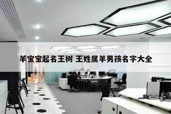 羊宝宝起名王树 王姓属羊男孩名字大全