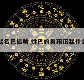 宝宝起名巴振啥 姓巴的男孩该起什么名字