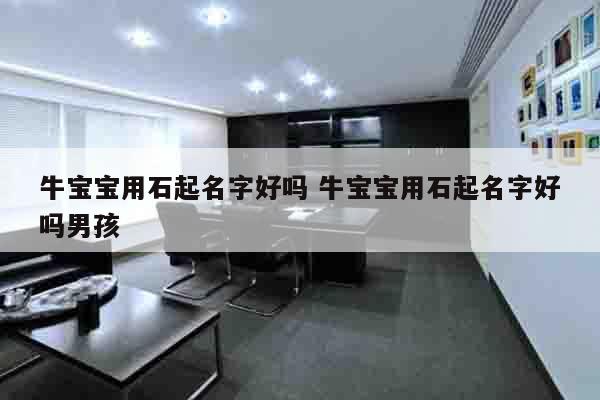 牛宝宝用石起名字好吗 牛宝宝用石起名字好吗男孩