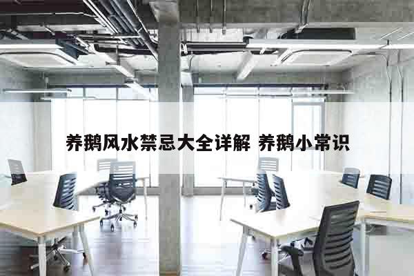 养鹅风水禁忌大全详解 养鹅小常识