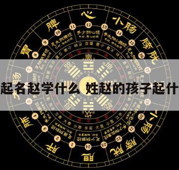 给宝宝起名赵学什么 姓赵的孩子起什么名好
