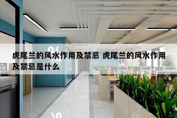 虎尾兰的风水作用及禁忌 虎尾兰的风水作用及禁忌是什么