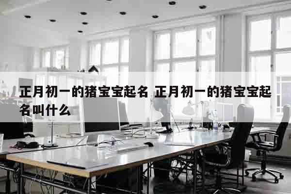 正月初一的猪宝宝起名 正月初一的猪宝宝起名叫什么
