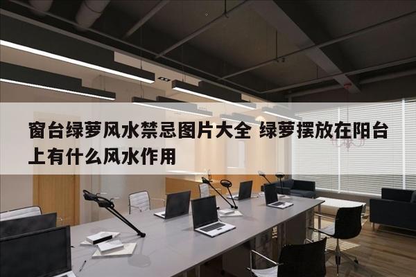 窗台绿萝风水禁忌图片大全 绿萝摆放在阳台上有什么风水作用