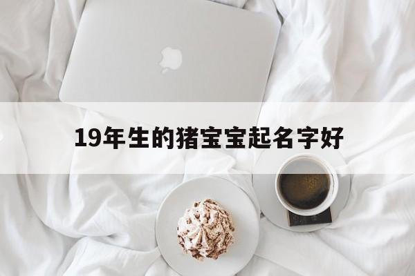 19年生的猪宝宝起名字好,2019年出生的猪宝宝取名