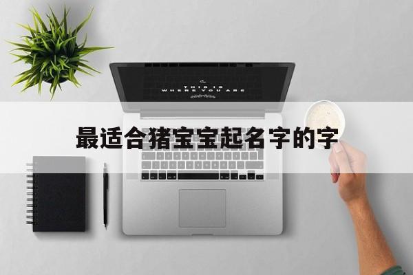 最适合猪宝宝起名字的字,适合猪宝宝取名的吉祥字有哪些