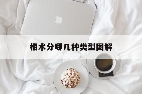 相术分哪几种类型图解,相术分几个层次