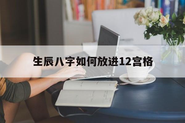 生辰八字如何放进12宫格,12个生辰八字是怎么排列的