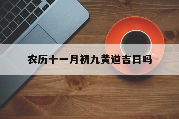 农历十一月初九黄道吉日吗,2021年农历十一月初九日子好不好