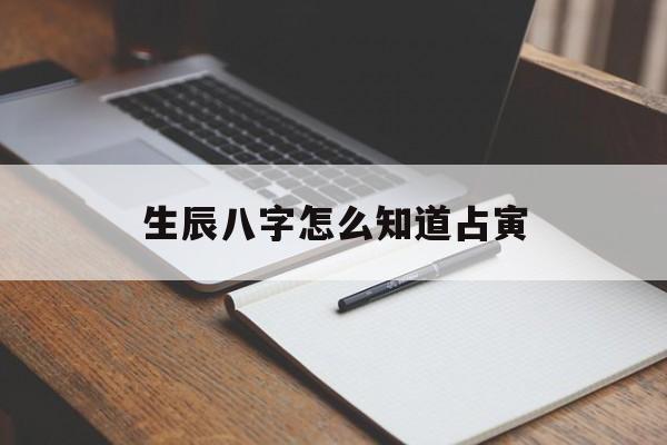 生辰八字怎么知道占寅,怎么看生辰八字知道这个人是什么命