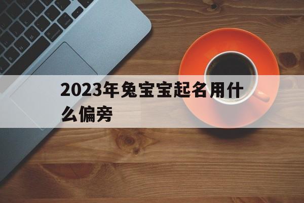 2023年兔宝宝起名用什么偏旁,2023年兔宝宝起名用什么偏旁取名