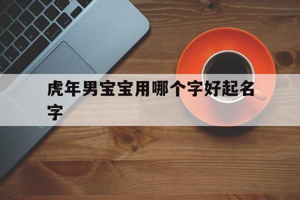 虎年男宝宝用哪个字好起名字,虎年男宝宝取名大全2021款