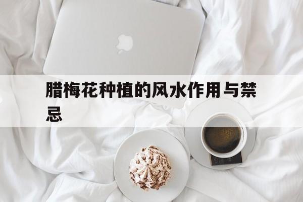腊梅花种植的风水作用与禁忌,种腊梅花好吗