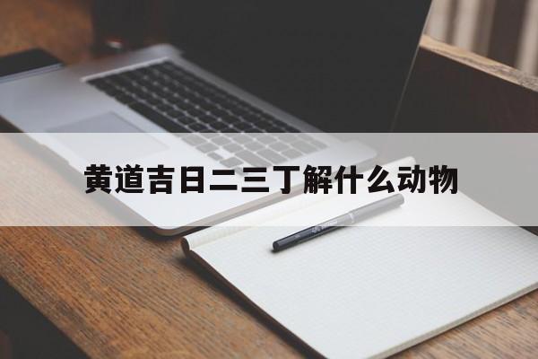黄道吉日二三丁解什么动物的简单介绍