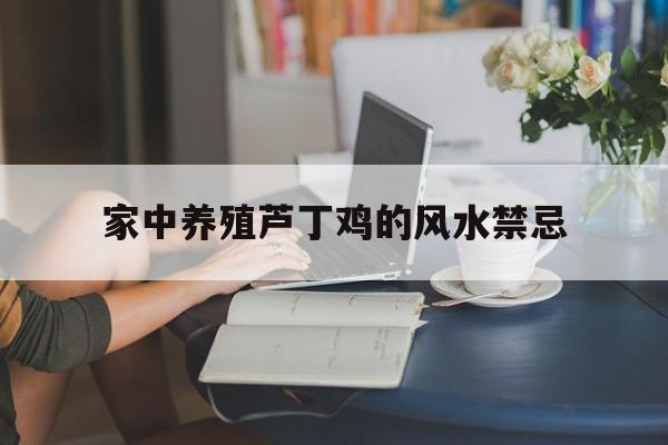 家中养殖芦丁鸡的风水禁忌,家中养殖芦丁鸡的风水禁忌有哪些
