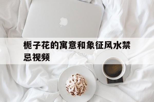 栀子花的寓意和象征风水禁忌视频,栀子花寓意和花语