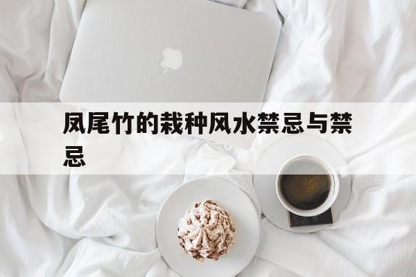 凤尾竹的栽种风水禁忌与禁忌,凤尾竹的栽种风水禁忌与禁忌有哪些
