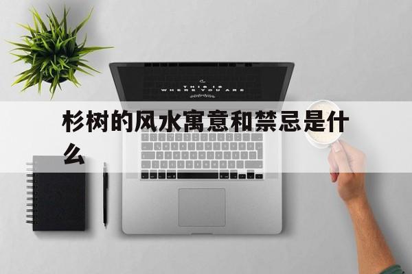 杉树的风水寓意和禁忌是什么,杉树的风水寓意和禁忌是什么意思