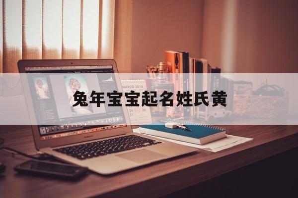 兔年宝宝起名姓氏黄,兔宝宝取名字