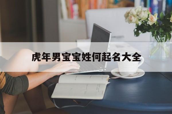 虎年男宝宝姓何起名大全,虎年男宝宝姓何起名大全及寓意