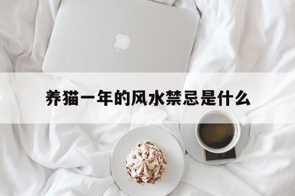 养猫一年的风水禁忌是什么,养猫一年要花多少钱?